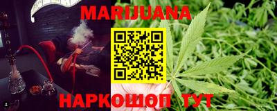 крисы Обь