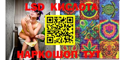 крисы Обь