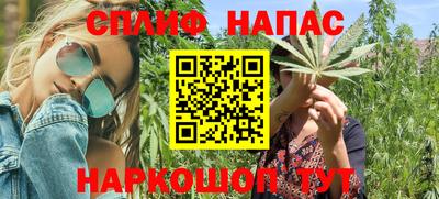 крисы Обь