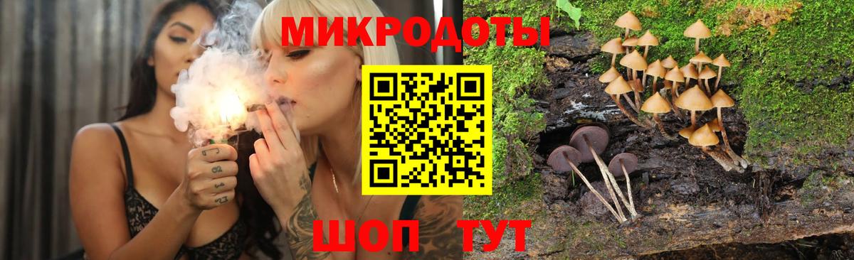 Псилоцибиновые грибы Psilocybine cubensis  Вход с VPN  Реж  Галлюциногенные грибы Magic Shrooms 