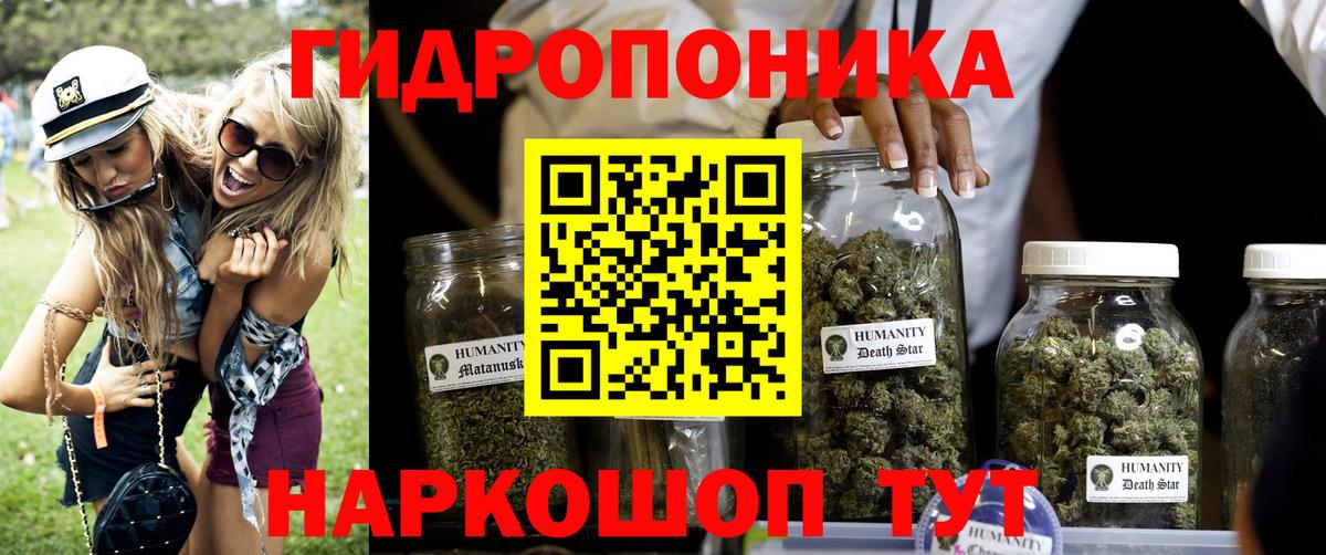 Бошки Шишки семена Реж